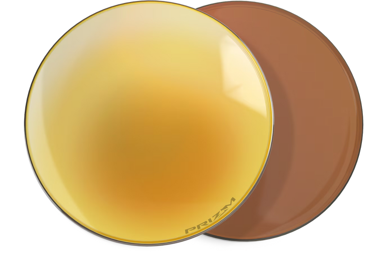 Transparency Protection Lenses