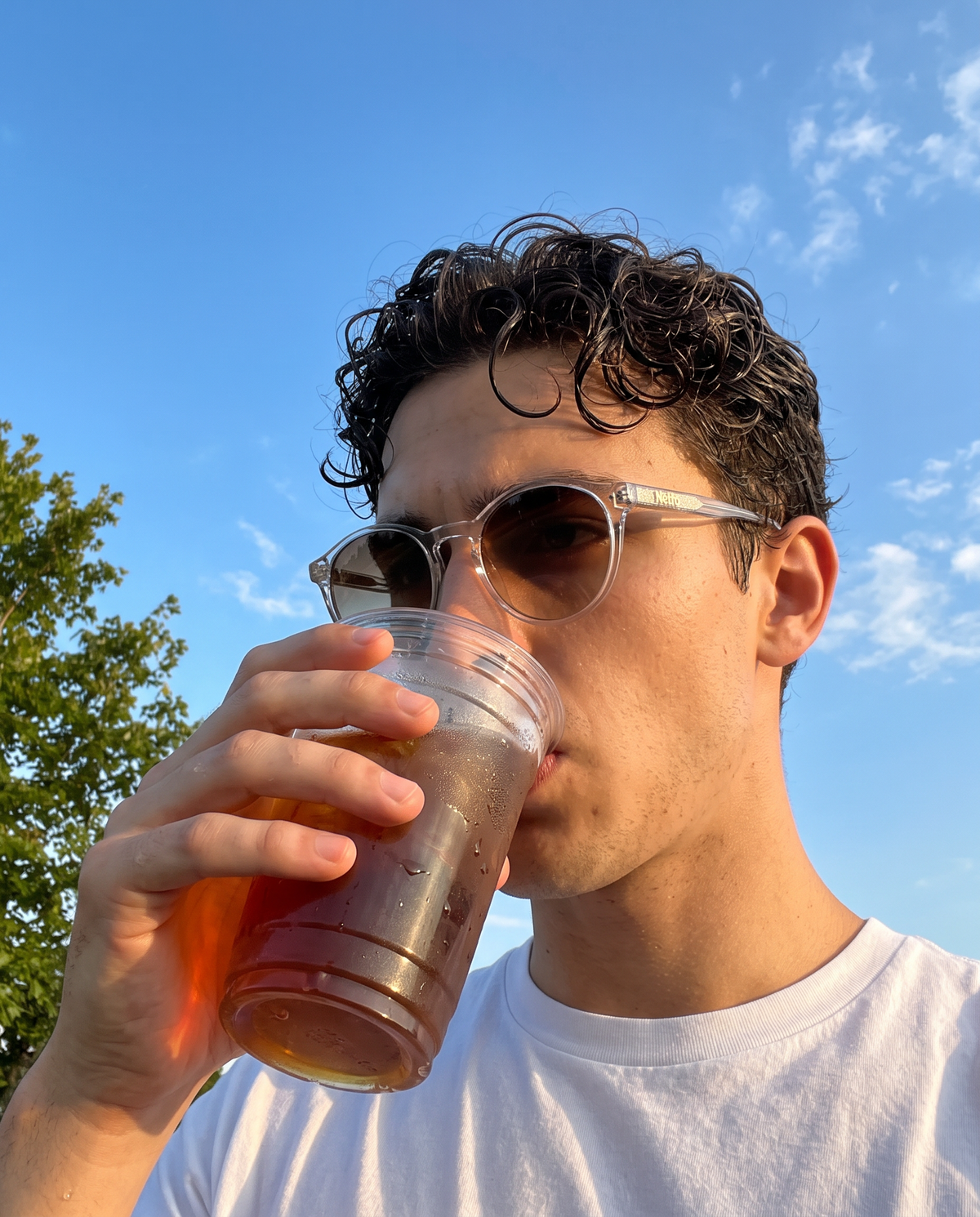Horizon Sunglasses
